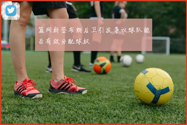 篮网新签布朗后卫引发争议球队能否有效分配球权
